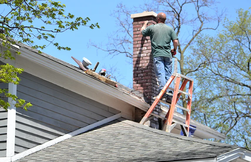 Chimney & Fireplace Inspections Services in Dania Beach, FL